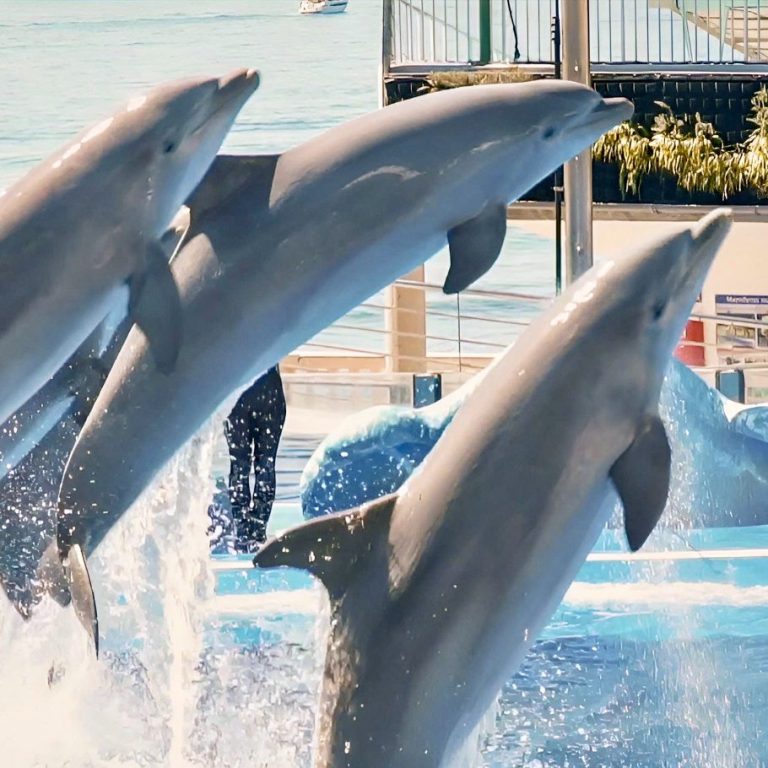 MARINELAND