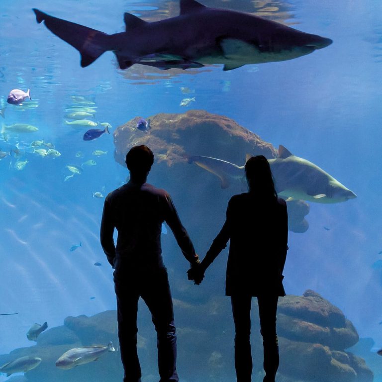 AQUARIUM