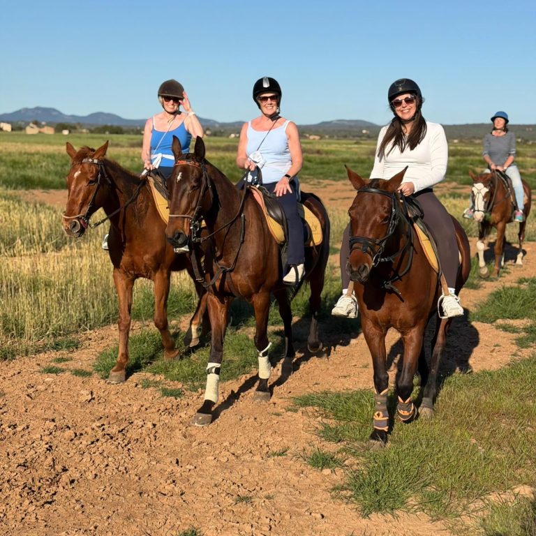 EXCURSION EN CABALLO