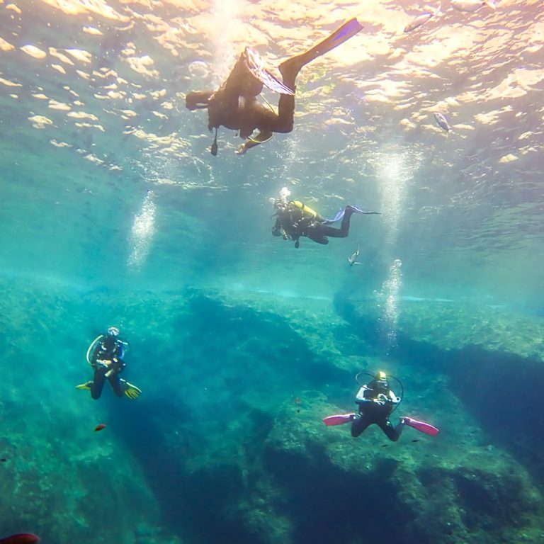CURSOS DE BUCEO